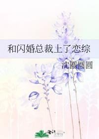 和总裁闪婚的宠文