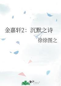 金嘉轩2沉默之诗TXT