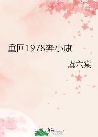 重回1978奔小康21