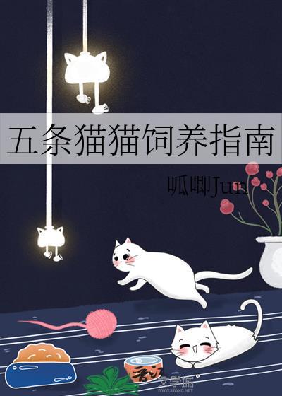 五条猫猫饲养指南呱唧