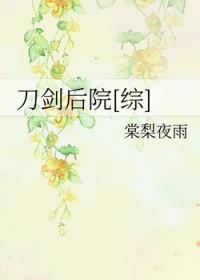 综刀剑攻略无防盗