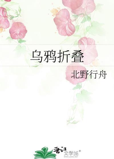 乌鸦折叠TXT免费