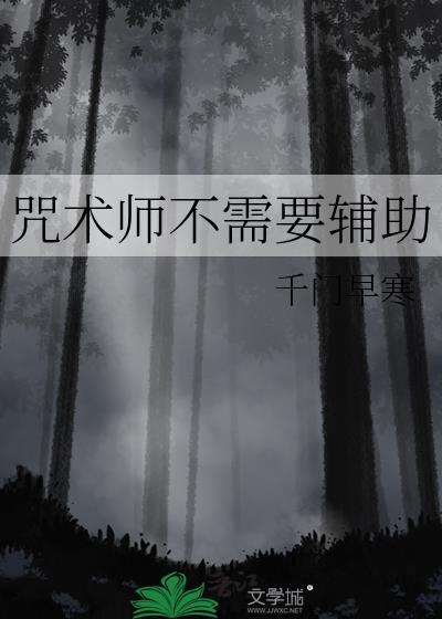 咒术师不需要辅助免费阅读