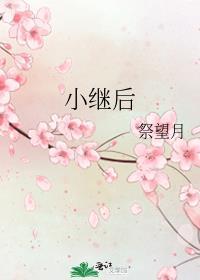 小继后笔趣阁