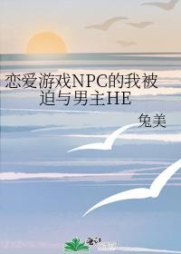 和npc恋爱的游戏