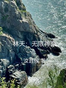 主角是林天的无敌流