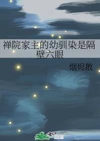 禅院家族祖传的术式