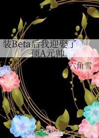 装beta后我迎娶了顶a元帅阁