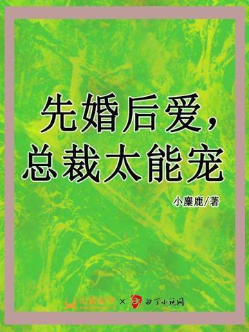 先婚后爱总裁太能宠江洛