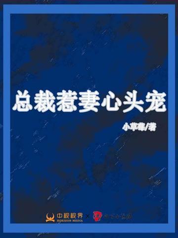 总裁惹妻心头宠全文阅读