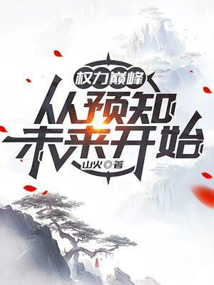 权力巅峰的后续是什么