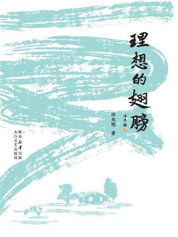 理想的翅膀中芳芳的风筝有意思在哪