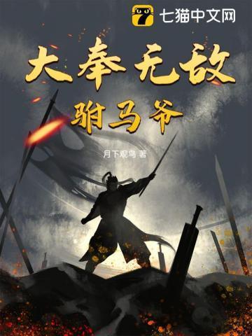 无敌驸马爷方