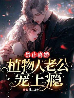 2019年植物人离婚规定