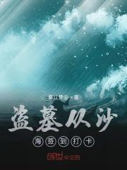 盗墓从沙海签到打卡 寒江梦尘