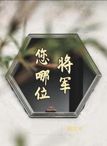 将军是你吗