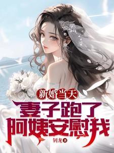 新婚妻子出走