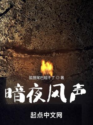 暗夜风声无弹窗