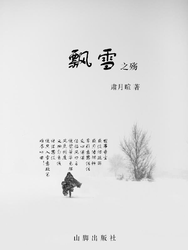 飘雪之美