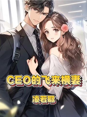 ceo的飞来横妻