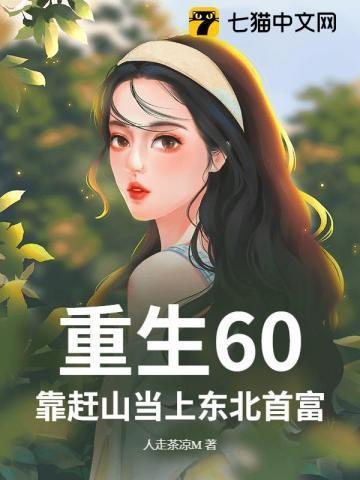 重生60年代东北小媳妇