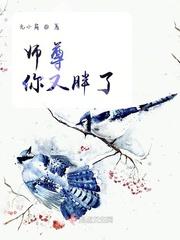 师尊他又甜又软