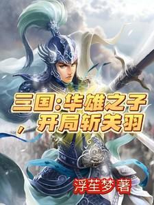 三国开局华羽追杀刘关张顶点