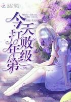 绝世神婿叶无锋