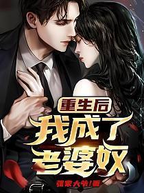 重生后我成了老婆奴TXT