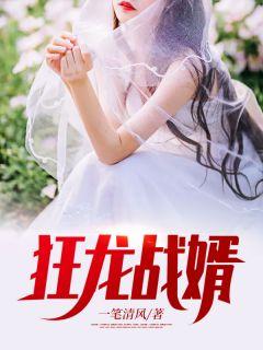 狂龙战婿完整版