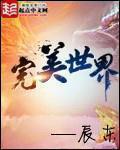 完美世界免费阅读全文