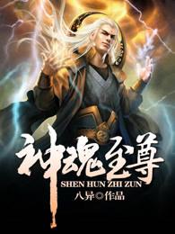 神魂至尊等级介绍