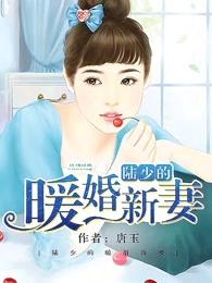 陆少的暖婚新妻 免费阅读全文