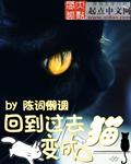 回到过去变成猫免费阅读