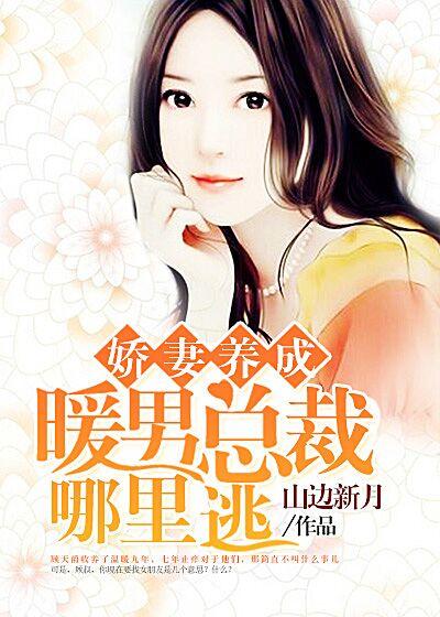 暖婚总裁娇宠妻有声