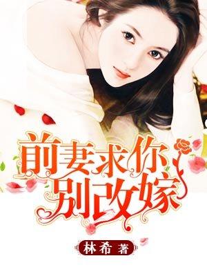 前妻求你别改嫁全文免费阅读婉转的蓝