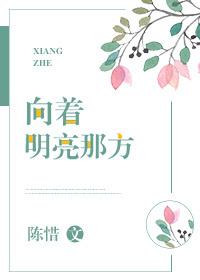 向着明亮那方内涵是什么