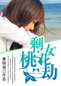 剩女桃花劫有声恋听