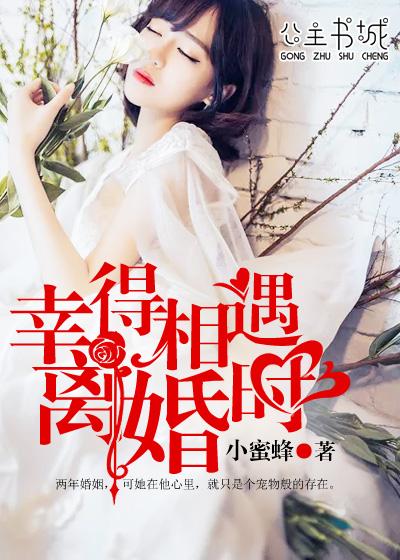 幸得相遇离婚时全文免费阅读小蜜蜂