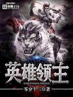 英雄领主和大魔导师哪个好