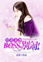 原作者沫果 书名boss别闹