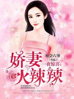 一夜惊喜闪婚娇妻太撩人