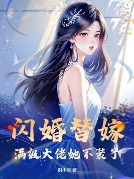 闪婚大佬 太太她又甜又飒