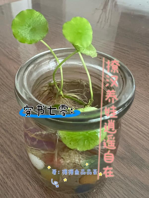 穿书七零狐狸精