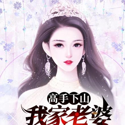 我的高手老婆