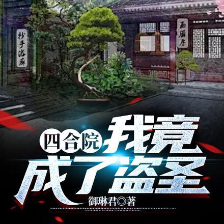 四合院之我成了傻住他爹