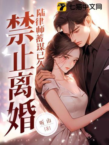 禁止离婚!陆律师蓄谋已久作者