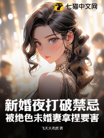 新婚夜bilibili