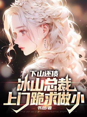 冰山美女总裁的上门女婿(作者技笔)