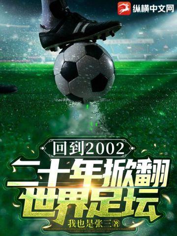 2002从头再来 世界杯